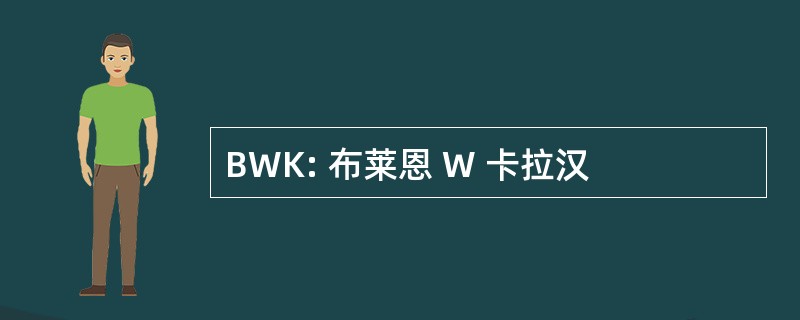 BWK: 布莱恩 W 卡拉汉