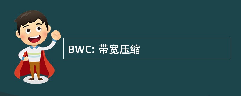 BWC: 带宽压缩