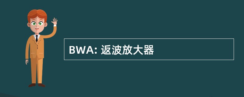 BWA: 返波放大器