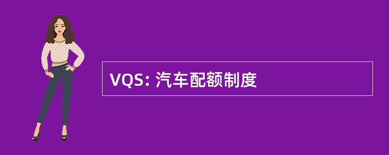 VQS: 汽车配额制度