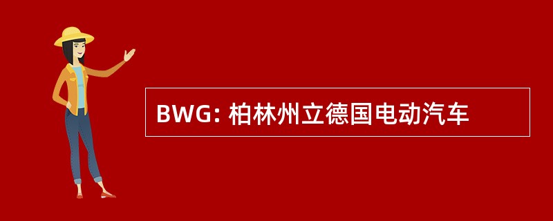 BWG: 柏林州立德国电动汽车