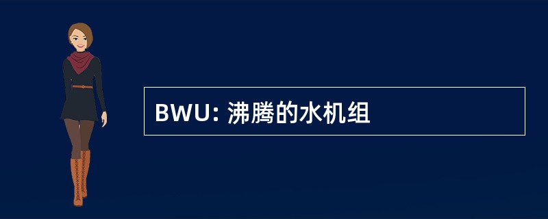 BWU: 沸腾的水机组