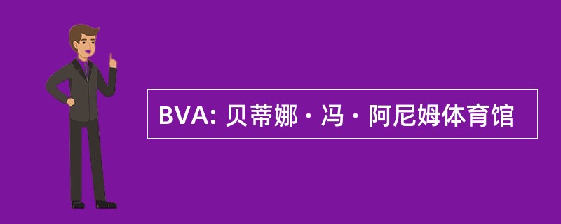 BVA: 贝蒂娜 · 冯 · 阿尼姆体育馆