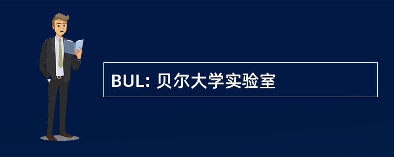 BUL: 贝尔大学实验室