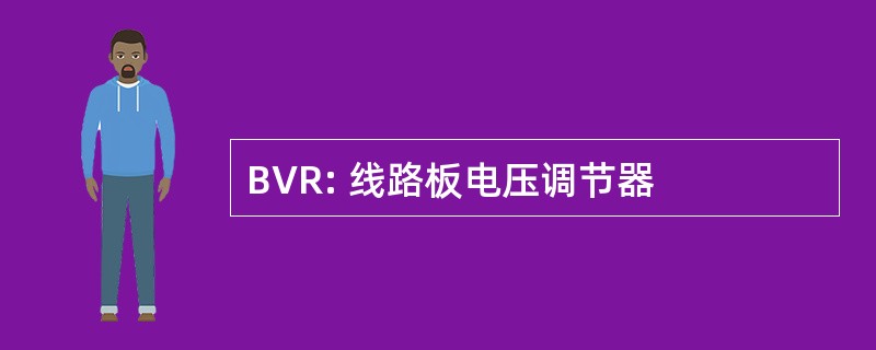 BVR: 线路板电压调节器