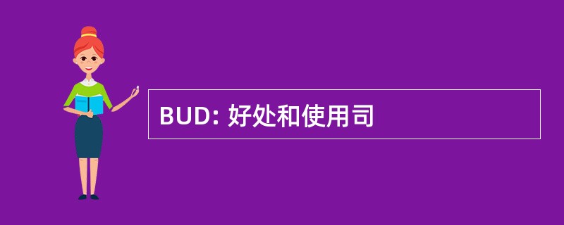 BUD: 好处和使用司