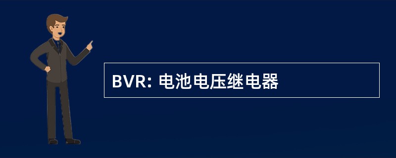 BVR: 电池电压继电器