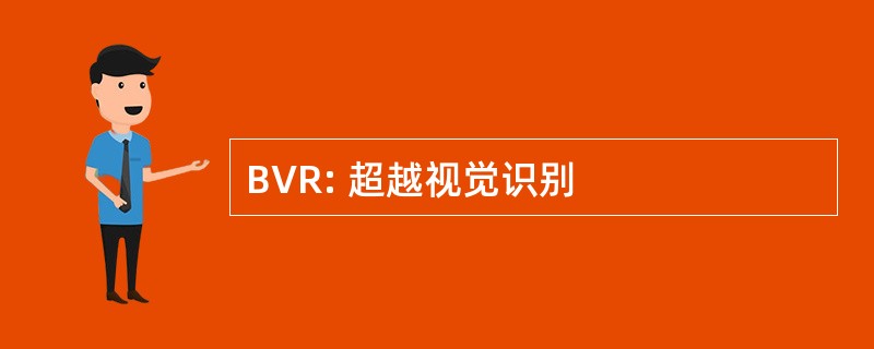 BVR: 超越视觉识别