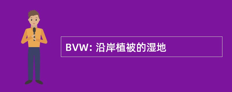 BVW: 沿岸植被的湿地