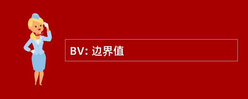 BV: 边界值