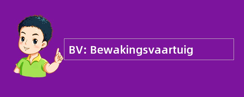 BV: Bewakingsvaartuig