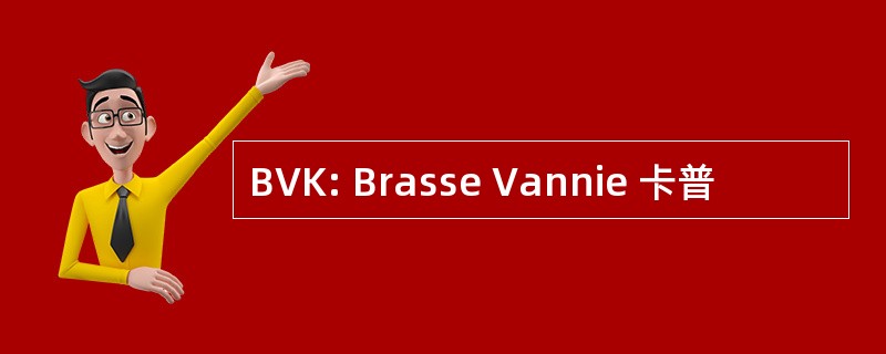 BVK: Brasse Vannie 卡普