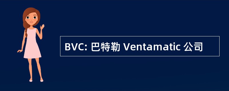 BVC: 巴特勒 Ventamatic 公司