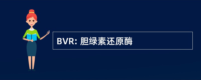 BVR: 胆绿素还原酶