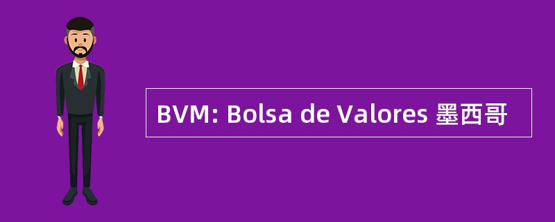 BVM: Bolsa de Valores 墨西哥