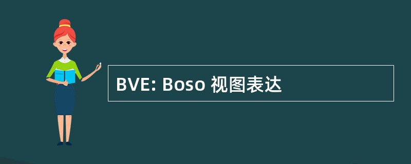 BVE: Boso 视图表达