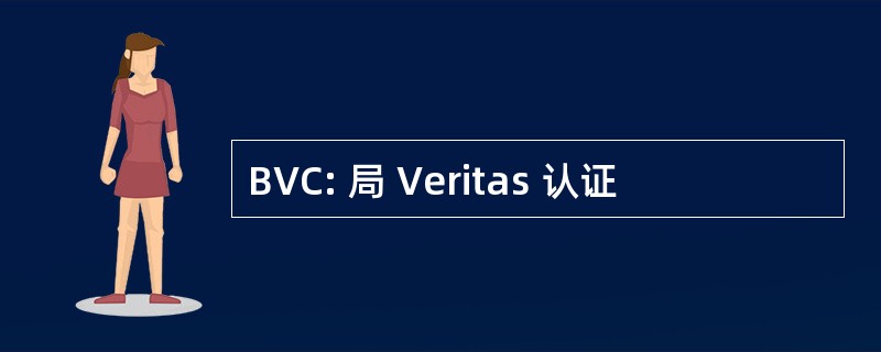 BVC: 局 Veritas 认证