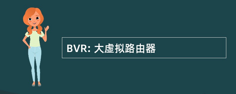 BVR: 大虚拟路由器