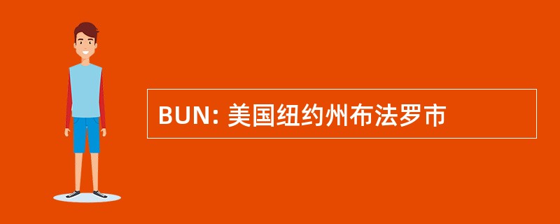 BUN: 美国纽约州布法罗市