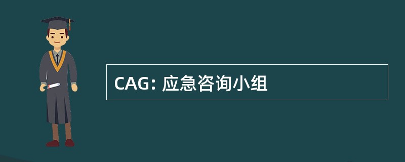 CAG: 应急咨询小组