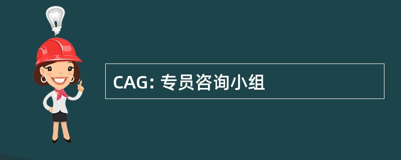 CAG: 专员咨询小组