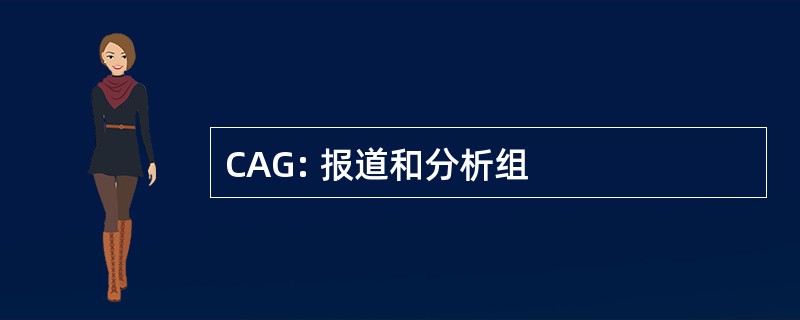 CAG: 报道和分析组