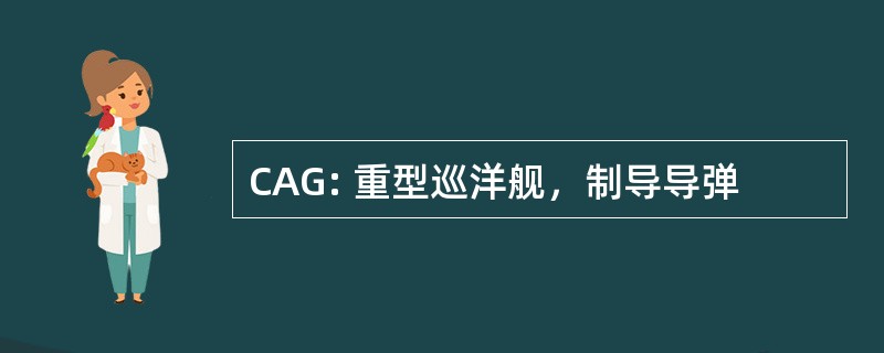 CAG: 重型巡洋舰，制导导弹