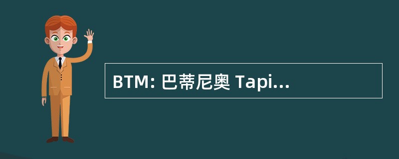 BTM: 巴蒂尼奥 Tapis Multiservices