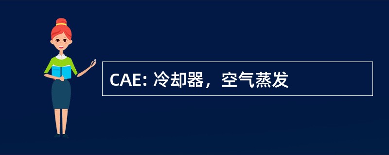 CAE: 冷却器，空气蒸发