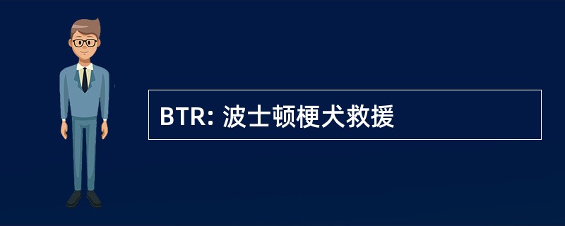 BTR: 波士顿梗犬救援