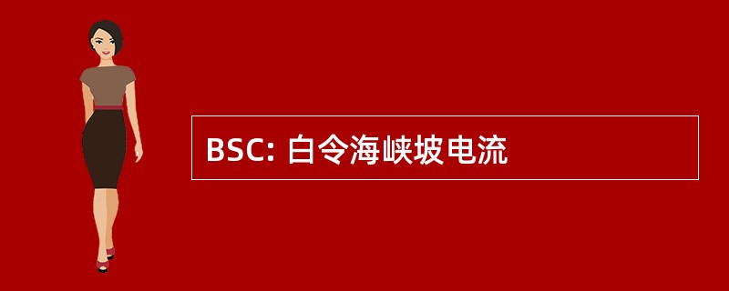 BSC: 白令海峡坡电流