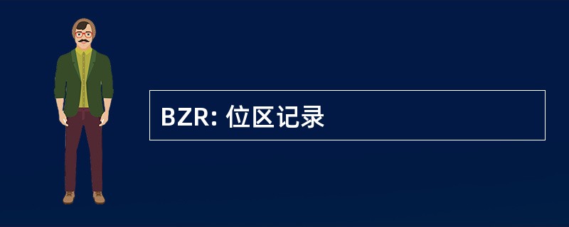 BZR: 位区记录