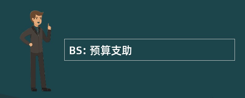 BS: 预算支助