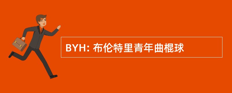 BYH: 布伦特里青年曲棍球