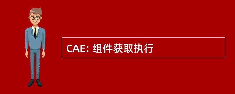 CAE: 组件获取执行