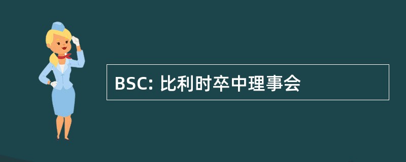 BSC: 比利时卒中理事会