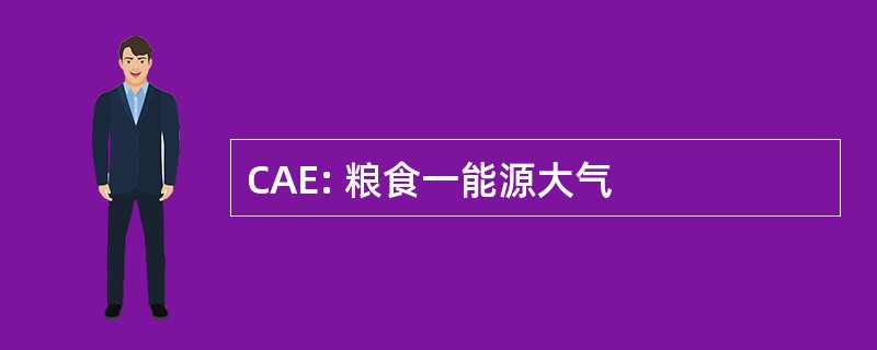 CAE: 粮食一能源大气