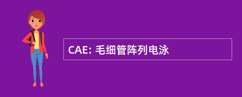 CAE: 毛细管阵列电泳