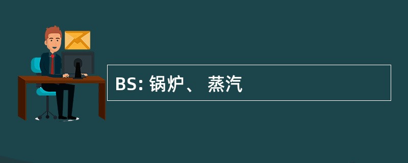 BS: 锅炉、 蒸汽