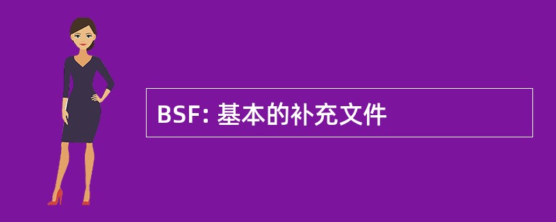 BSF: 基本的补充文件