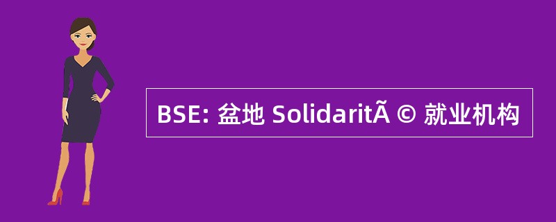 BSE: 盆地 SolidaritÃ © 就业机构