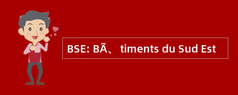 BSE: BÃ、 timents du Sud Est