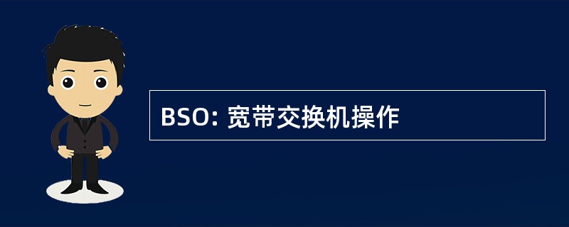 BSO: 宽带交换机操作