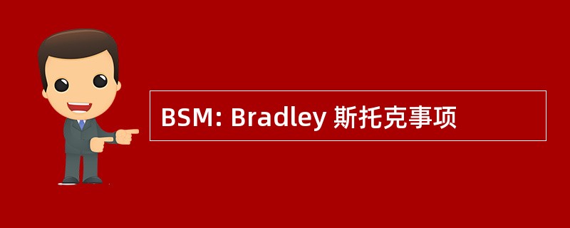 BSM: Bradley 斯托克事项