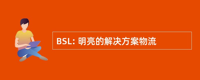 BSL: 明亮的解决方案物流