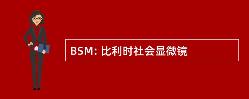 BSM: 比利时社会显微镜