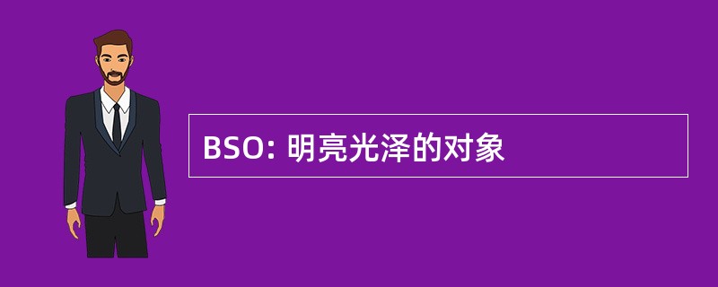 BSO: 明亮光泽的对象