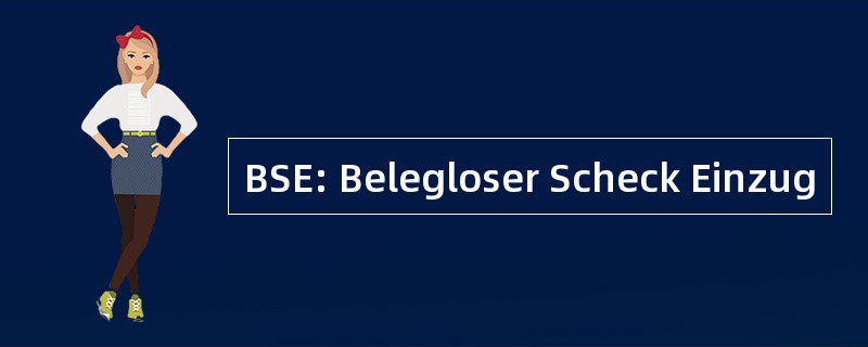 BSE: Belegloser Scheck Einzug