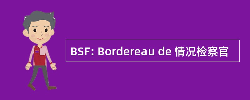 BSF: Bordereau de 情况检察官