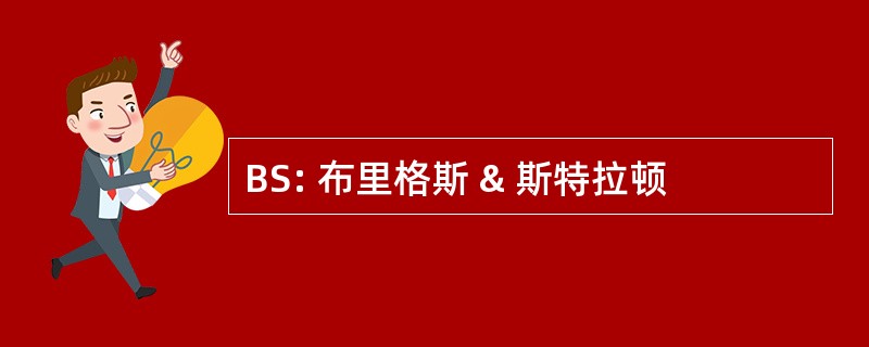 BS: 布里格斯 & 斯特拉顿